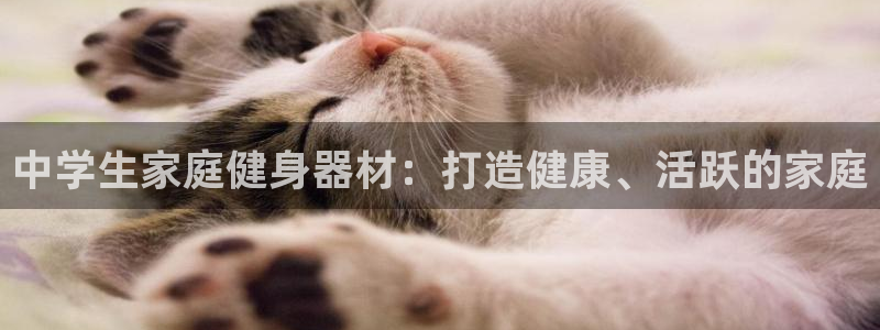 意昂3集团logo：中学生家庭健身器材：打造健康、活