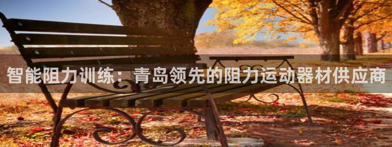 意昂3集团官网首页网址：智能阻力训练：青岛领先的阻力