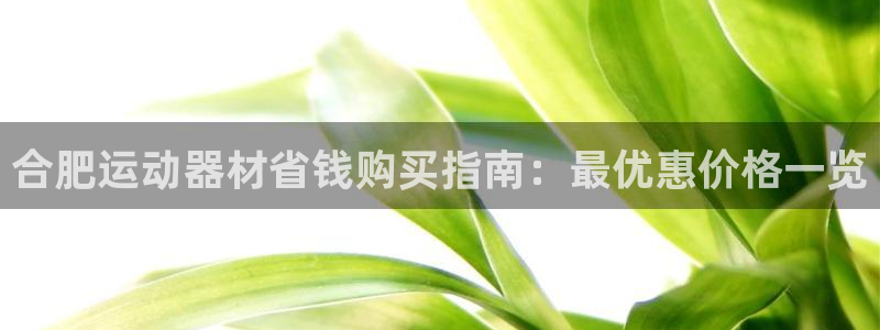意昂体育3平台注册