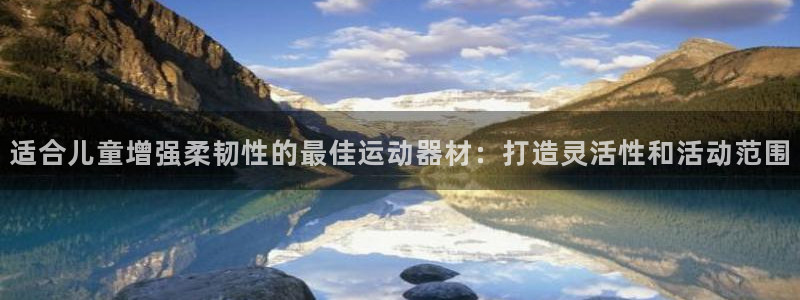 意昂体育3：适合儿童增强柔韧性的最佳运动器材：打造灵