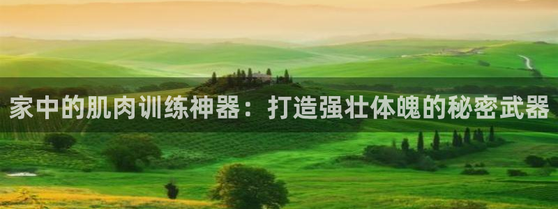 意昂体育3招商电话地址是多少：家中的肌肉训练神器：打