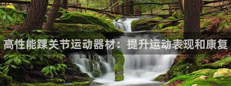 意昂3官方：高性能踝关节运动器材：提升运动表现和康复