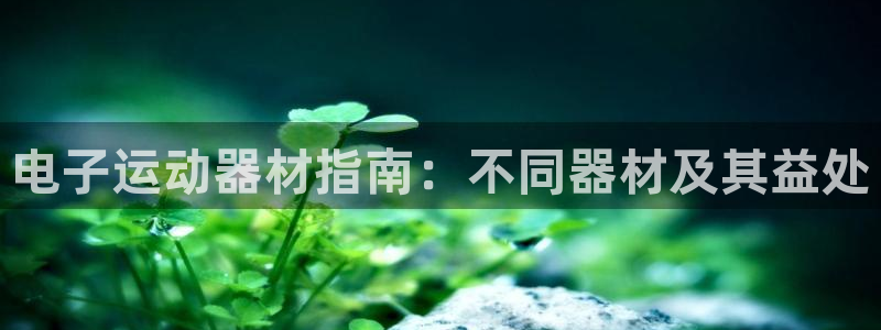 意昂体育3平台注册要钱吗：电子运动器材指南：不同器材