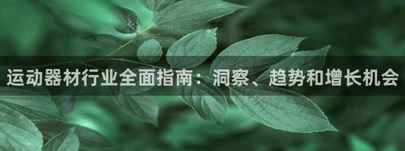 意昂3娱乐平台：运动器材行业全面指南：洞察、趋势和增