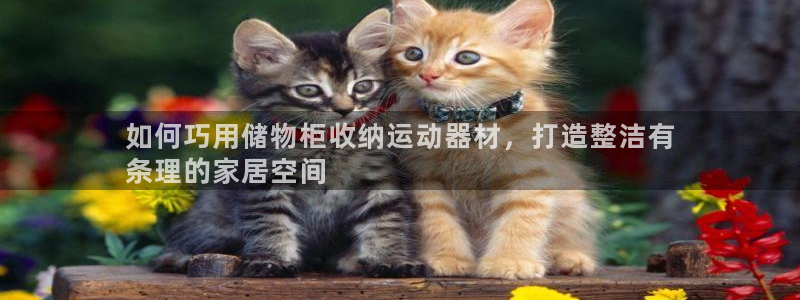 意昂体育3开户：如何巧用储物柜收纳运动器材，打造整洁