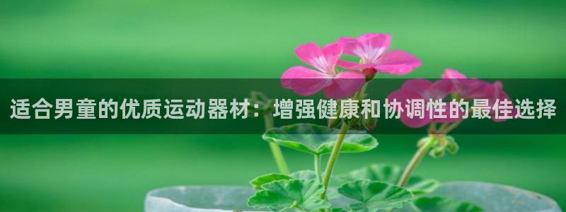 意昂体育3招商电话号码是多少啊：适合男童的优质运动器