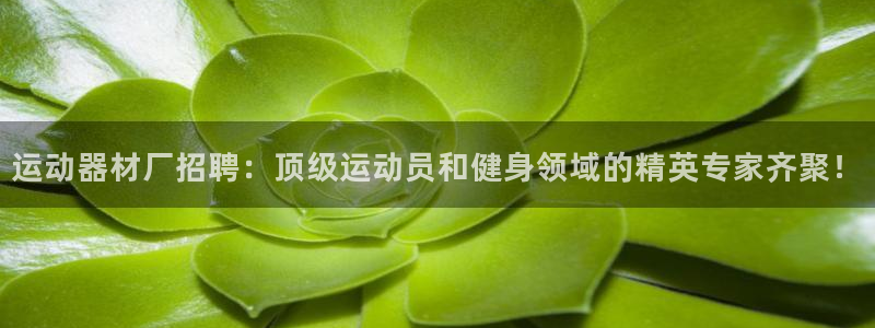 意昂体育3招商电话号码查询是多少：运动器材厂招聘：顶