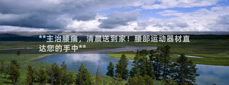 意昂3五金厂：**主治腰痛，清晨送到家！腰部运动器材