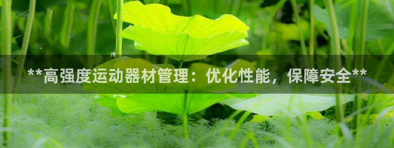 海南意昂体育3发展怎么样：**高强度运动器材管理：优