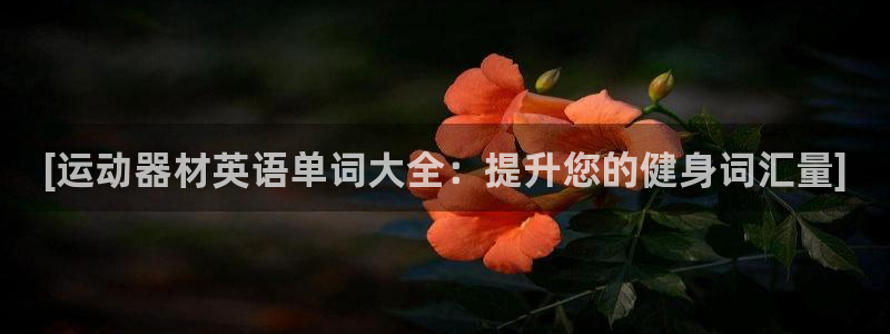 意昂3集团官网首页网址：[运动器材英语单词大全：提升