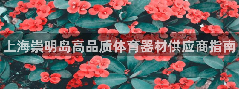 意昂3集团简介：上海崇明岛高品质体育器材供应商指南