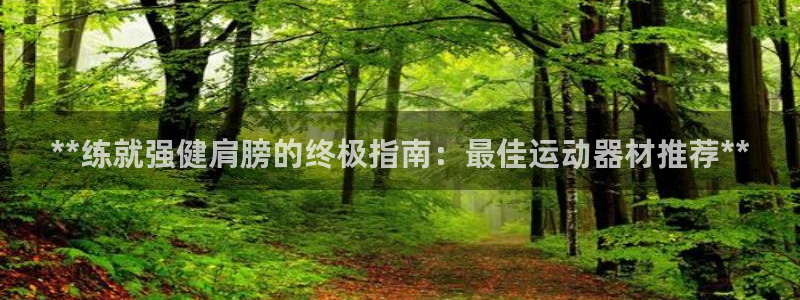 意昂体育3：**练就强健肩膀的终极指南：最佳运动器材