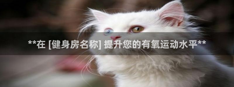 意昂3神州：**在 [健身房名称] 提升您的有氧运动水平**