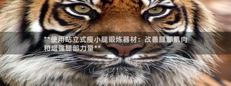 意昂体育3是干嘛的公司：**使用站立式瘦小腿锻炼器材