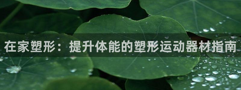 意昂体育3平台：在家塑形：提升体能的塑形运动器材指南