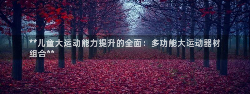 意昂3集团：**儿童大运动能力提升的全面：多功能大运