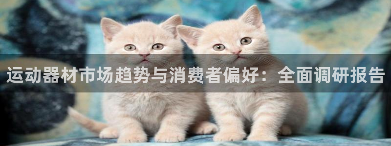 意昂3五金厂：运动器材市场趋势与消费者偏好：全面调研