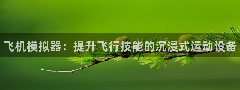 意昂体育3招商电话地址是多少：飞机模拟器：提升飞行技