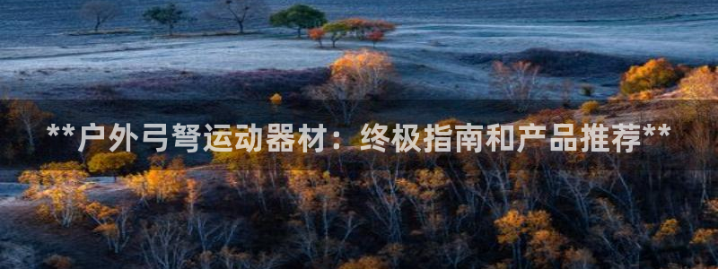 意昂3官网：**户外弓弩运动器材：终极指南和产品推荐