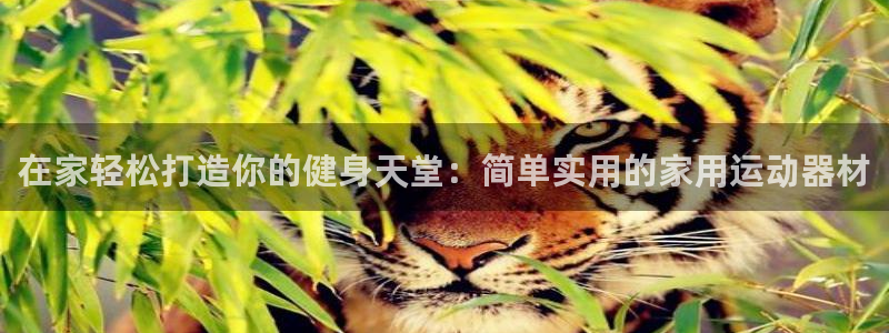 意昂体育3开户：在家轻松打造你的健身天堂：简单实用的