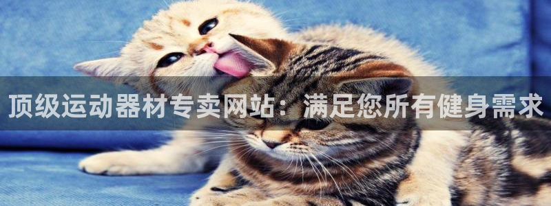 意昂体育3平台是正规平台吗知乎：顶级运动器材专卖网站