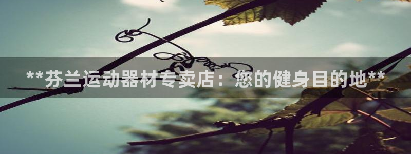 意昂体育3平台是正规平台吗安全吗：**芬兰运动器材专