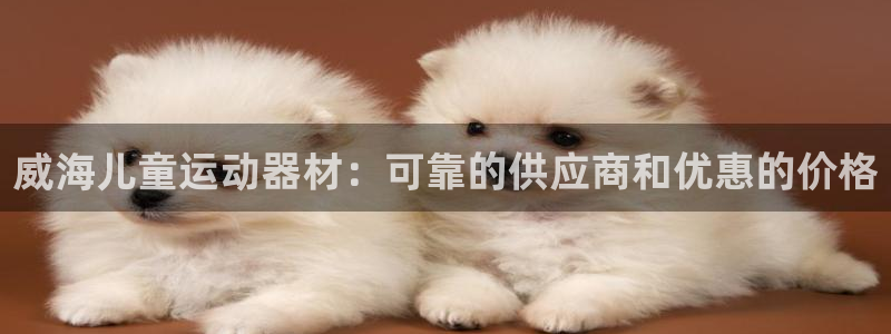 意昂体育3平台APP：威海儿童运动器材：可靠的供应商