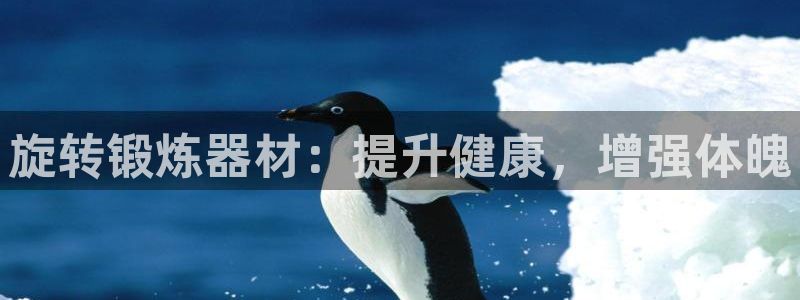 意昂体育3平台是正规平台吗：旋转锻炼器材：提升健康，