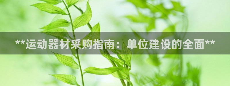 意昂体育3平台是正规平台吗：**运动器材采购指南：单