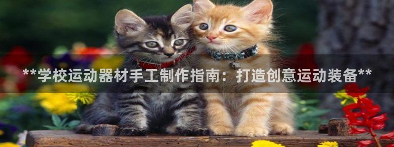 意昂体育3招商电话地址是多少：**学校运动器材手工制
