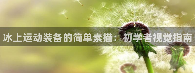 意昂体育3招商电话号码：冰上运动装备的简单素描：初学