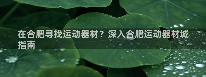 意昂3新能源：在合肥寻找运动器材？深入合肥运动器材城