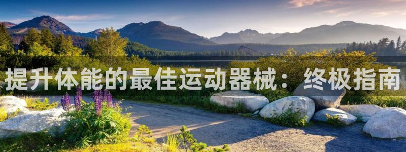 意昂体育3招商电话号码：提升体能的最佳运动器械：终极
