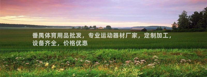 意昂体育3娱乐：番禺体育用品批发，专业运动器材厂家，