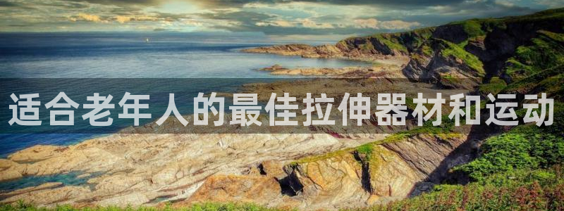 意昂3娱乐首页网站大全：适合老年人的最佳拉伸器材和运