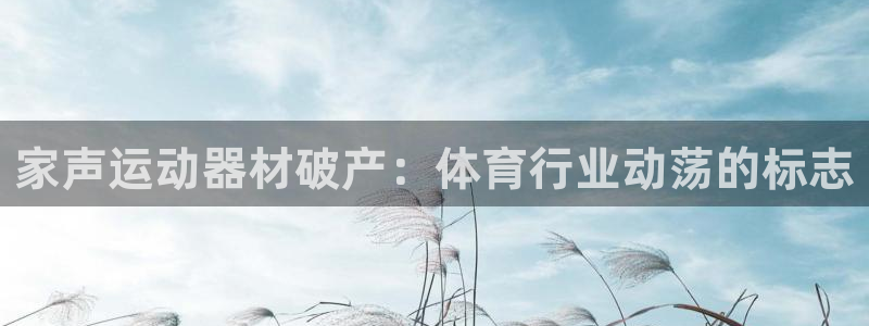 注册意昂3：家声运动器材破产：体育行业动荡的标志
