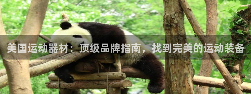意昂体育3平台是正规平台吗知乎：美国运动器材：顶级品