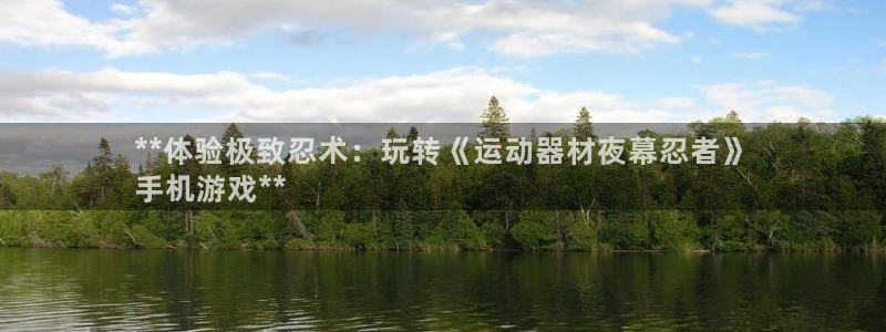 意昂3集团简介：**体验极致忍术：玩转《运动器材夜幕