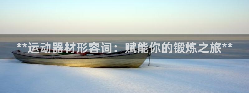 意昂3集团：**运动器材形容词：赋能你的锻炼之旅**