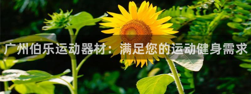 意昂体育3平台：广州伯乐运动器材：满足您的运动健身需