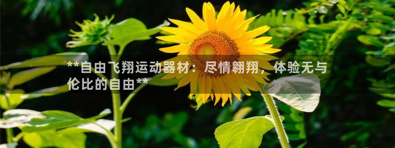 意昂集团官网：**自由飞翔运动器材：尽情翱翔，体验无
