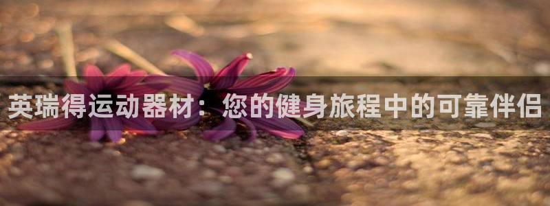 意昂3五金厂：英瑞得运动器材：您的健身旅程中的可靠伴