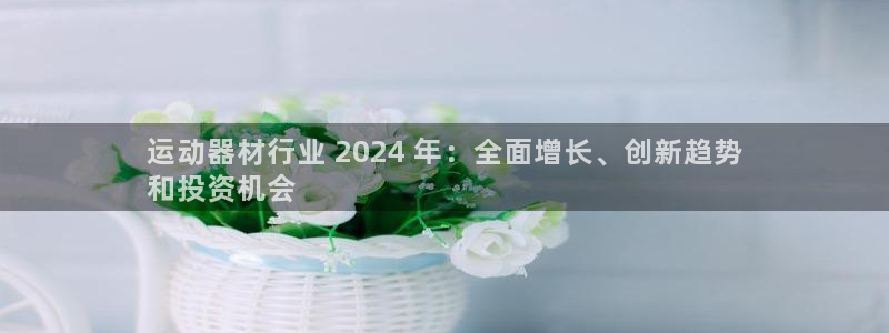 意昂体育3开户：运动器材行业 2024 年：全面增长