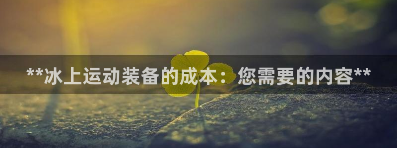 意昂3官方：**冰上运动装备的成本：您需要的内容**