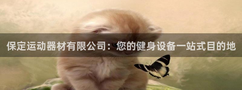 意昂3集团简介：保定运动器材有限公司：您的健身设备一