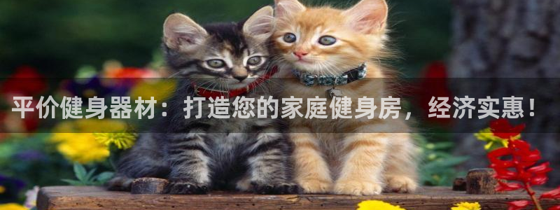 意昂体育3联系电话：平价健身器材：打造您的家庭健身房