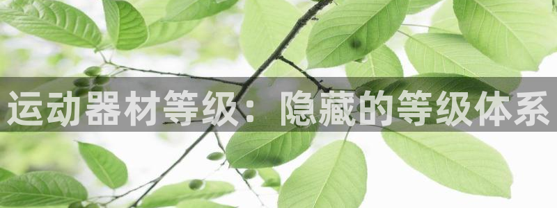 意昂体育3平台注册：运动器材等级：隐藏的等级体系