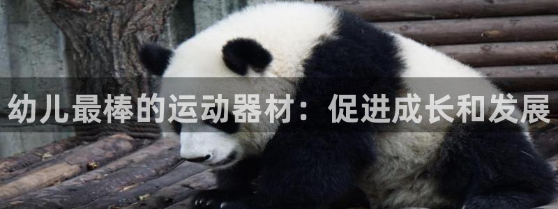 意昂3集团官网首页：幼儿最棒的运动器材：促进成长和发