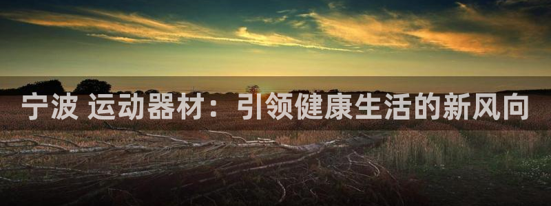 意昂3集团官网首页网址：宁波 运动器材：引领健康生活