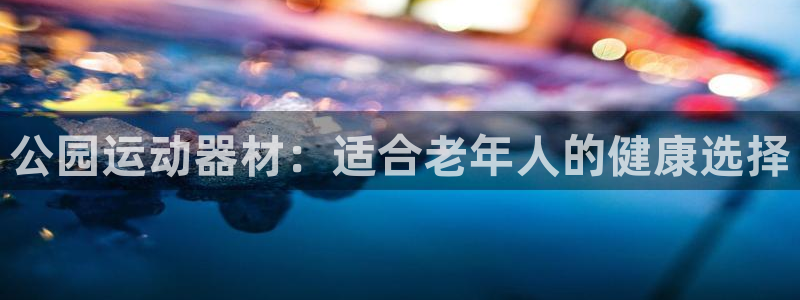意昂3娱乐代理怎么样：公园运动器材：适合老年人的健康